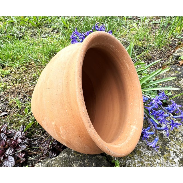 Brown Vintage Terracotta Amphora Planter, 1990s For Sale - Image 8 of 11