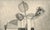 "Simple Delight" - Wine Glass & Rose Still Life Etching in Ink on Paper (#6/15) by Curtis G. Leonardo For Sale - Image 4 of 8