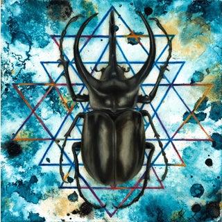 Col?rem II by Kierstin Young | Oil and acrylic on panel of a black beetle on a blue background For Sale