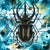 Col?rem II by Kierstin Young | Oil and acrylic on panel of a black beetle on a blue background For Sale