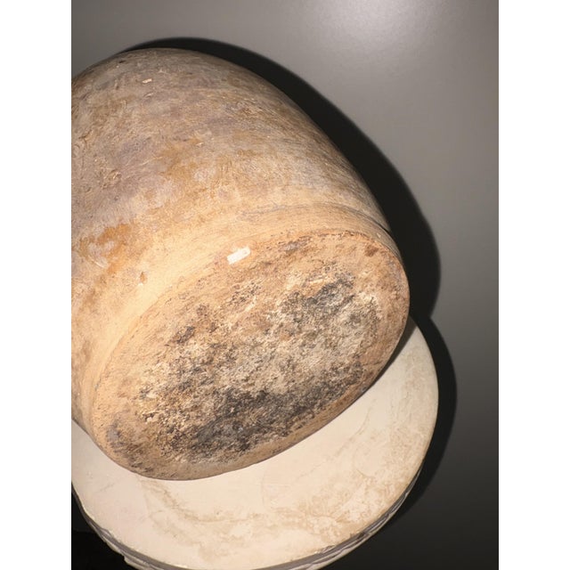 Antique Apulian 2-Handed Truffle, 1950 For Sale - Image 6 of 7