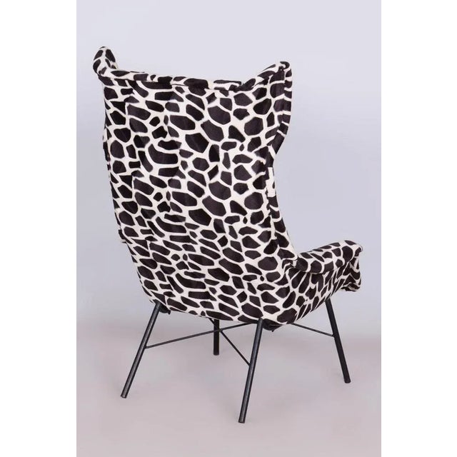 Wingchair with mitation Giraffe Fur from Miroslav Navratil, Czechia, 1950s For Sale - Image 9 of 13