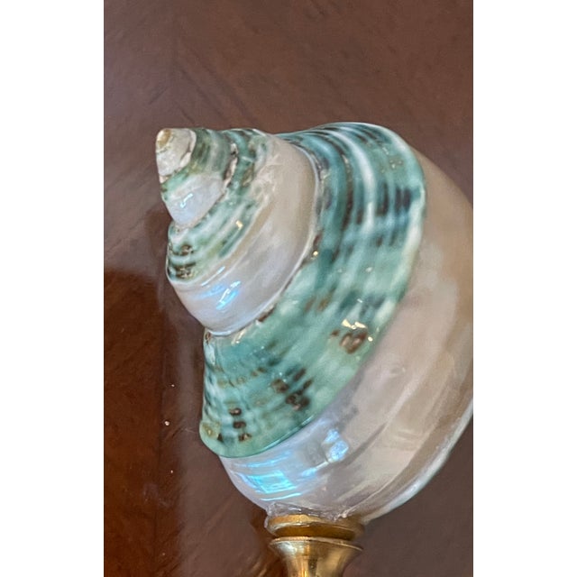 Contemporary 1970s Mother of Pearl Blue Turbo Sea Shell Lamp Finial For Sale - Image 3 of 4