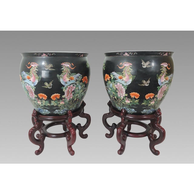Antique Nyonya Straits Chinese Porcelain Planters, Jardinieres, Famille Noire Black With Goldfish & Phoenix Birds, a Pair, Rosewood Stands, For Sale In Tampa - Image 6 of 12