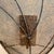 Curtis Jere Mid-Century Modern Pair of Wire Mesh Leaf Candle Wall Sconces For Sale In Sacramento - Image 6 of 12