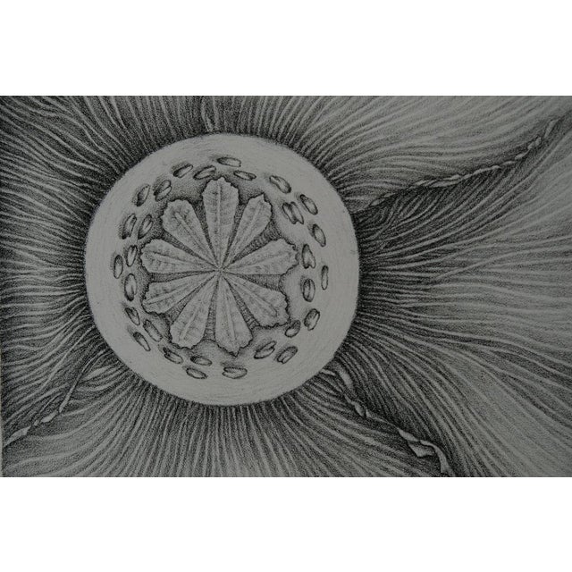 Gochka Charewicz, L'épanouissement, Lithograph For Sale - Image 5 of 8