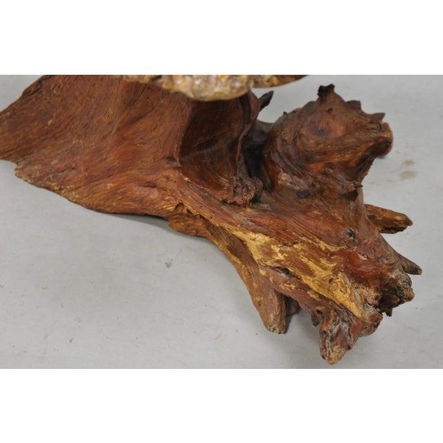 Vintage Mid Century Modern Burl Wood Slab Driftwood Sculptural Coffee Table For Sale - Image 12 of 16