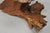 Vintage Mid Century Modern Burl Wood Slab Driftwood Sculptural Coffee Table For Sale - Image 12 of 16