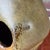 Mid 20th Century Danish Style Mid-Century Modern Organic Ceramic Lamp. For Sale - Image 5 of 12