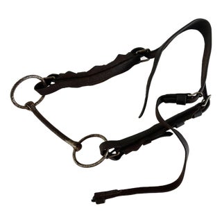 Antique Horse Bridle and Bit, 1900s For Sale