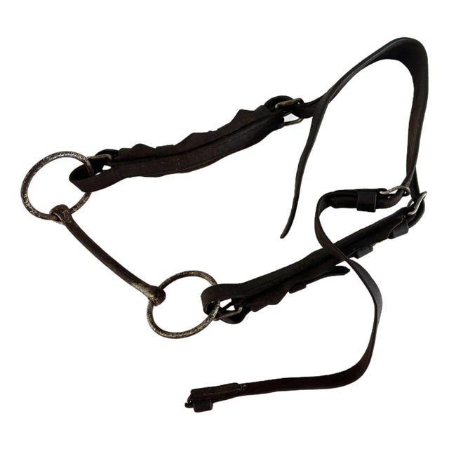 Antique Horse Bridle and Bit, 1900s For Sale