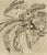 A 1944 abstract etching by the American artist Daniel Philip Platt. This etching features an abstract bird made of...