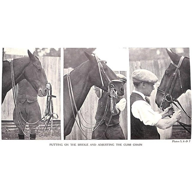 1950s "Horsemanship Dressage & Show Jumping" 1959 Brooke, Maj. Gen. Geoffrey For Sale - Image 5 of 12