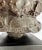 Sculpture Materials Vintage Limited Edition 1958 Reproduction Sculpture ‘Head of Coco’ (1908) by Pierre-August Renoir by Alva Museum Replicas For Sale - Image 7 of 12
