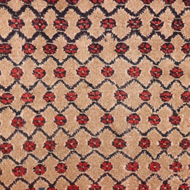 Malayer Rug in Cotton & Wool Heavy Knot, Middle East For Sale - Image 3 of 11