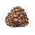 Brown Early 20th Century Lega Bwami Society Shell Hat For Sale - Image 8 of 8