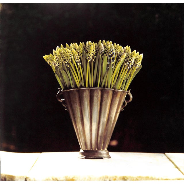 Paper "Wolterinck" 1997 Roelofs, Cees [Photography] For Sale - Image 7 of 12