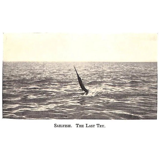 "Florida Fishing" 1931 Miller, Stewart For Sale - Image 4 of 6