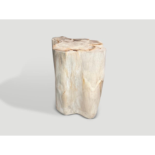 Wood Andrianna Shamaris Impressive High Quality Ancient Petrified Wood Side Table For Sale - Image 7 of 7