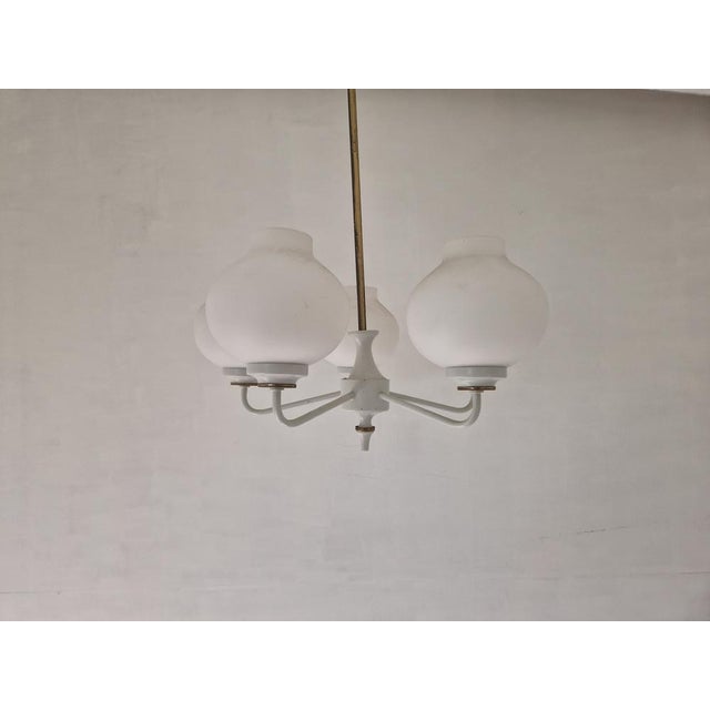 Mid-Century Tulip Glass Chandelier, 1950s For Sale - Image 16 of 16