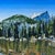 The painting captures the serene beauty of Nymph Lake in Rocky Mountain Park, showcasing a vibrant interplay of color and...