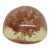 Dome Shaped Amber Hue Resin Paperweight With Enclosed Dried Flower Petals 5073b For Sale