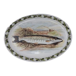 Late 20th Century Portmeirion Pottery Oval Platter Compleat Angler Series "Pike No. 7 Esox Lucius" Stoke on Trent England For Sale