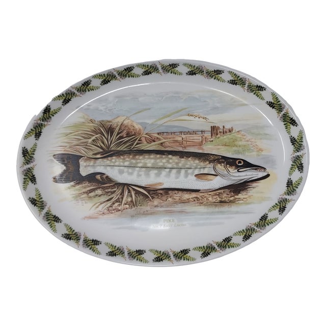 Late 20th Century Portmeirion Pottery Oval Platter Compleat Angler Series "Pike No. 7 Esox Lucius" Stoke on Trent England For Sale
