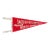 Vintage Saco River Camping Area New Hampshire Felt Flag Pennant For Sale