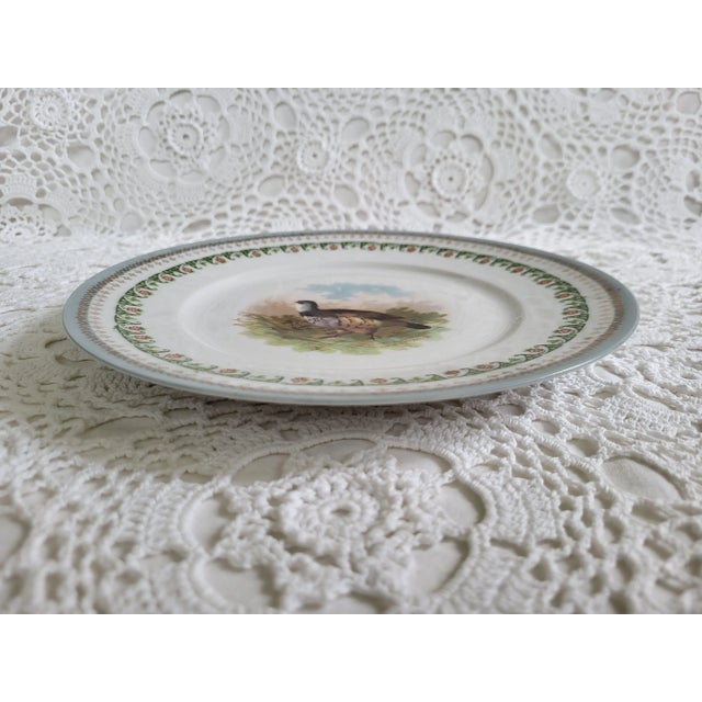 1940s Austria Hub Porcelain Plate With Pheasant For Sale In Baltimore - Image 6 of 6