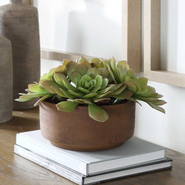 Grounded And Modern, This Accent Features Lush Echeveria Rosettes In Rich Green Tones With Softly Blushed Edges. Set In A...