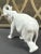 Mid 20th Century White Porcelain Elephant Figurine For Sale In Chicago - Image 6 of 7