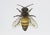 Juris Utans, Busy Bee, 2021, Mixed Media and Paper For Sale