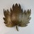 Mid-Century Modern Plane Tree Leaf Wall Sconce in Gilt Brass, 1950s For Sale