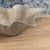 Greige Midcentury Swiss Willy Guhl Planter For Sale - Image 8 of 12