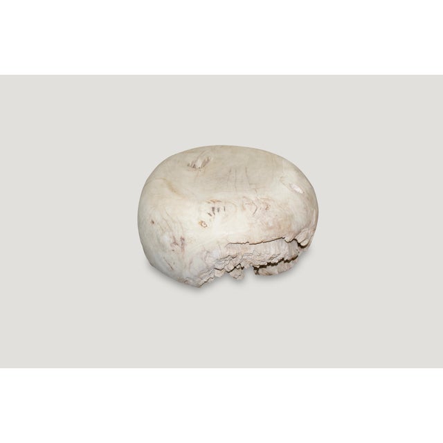 Contemporary Andrianna Shamaris St. Barts Bleached Teak Wood Coffee Table or Side Table For Sale - Image 3 of 6