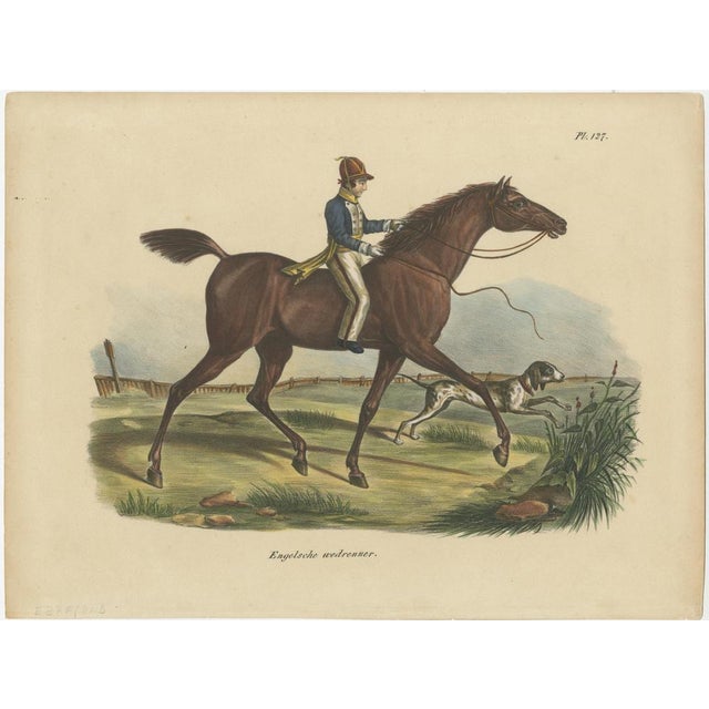 English Horses, 1845, Hand Colored Prints, Set of 3 For Sale - Image 4 of 6