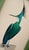 Hand-painted by master artists using acrylic paints and natural pigments, this beautifully detailed crested bird features...
