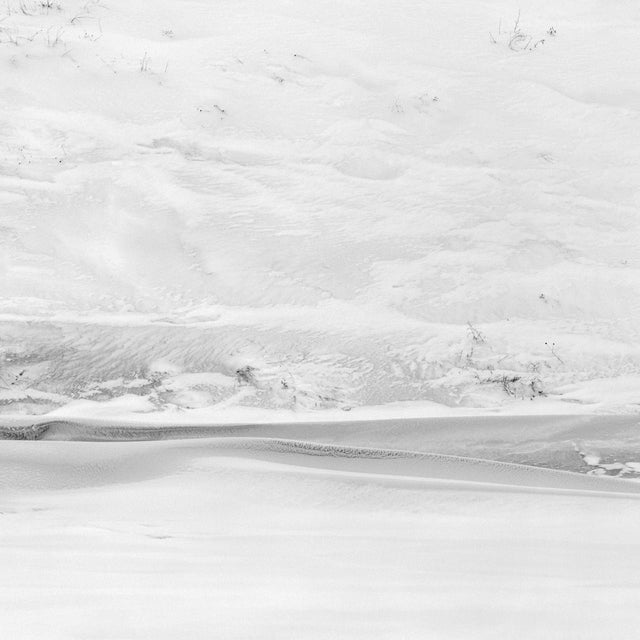 Ugne Pouwell, Winter of the Dead Dunes, Photography, Limited to 10 For Sale