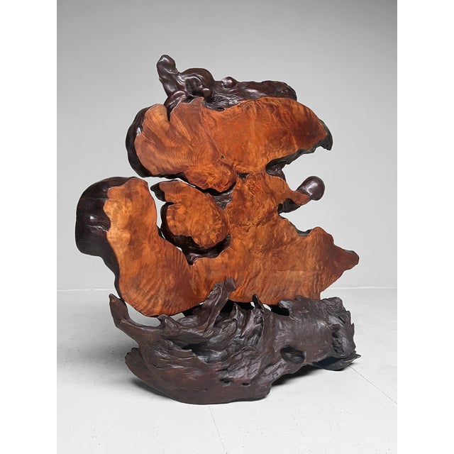 Japanese Burl Wood Decoration For Sale - Image 9 of 15