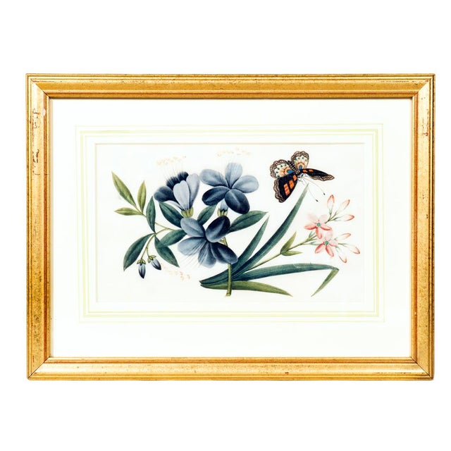 Chinese Set of Six Chinese Export Framed Pith Paper Watercolor Botanicals For Sale - Image 3 of 8