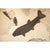 This elegant fossil fish mural works equally well in a vertical or horizontal presentation. The dramatic flow of 50...