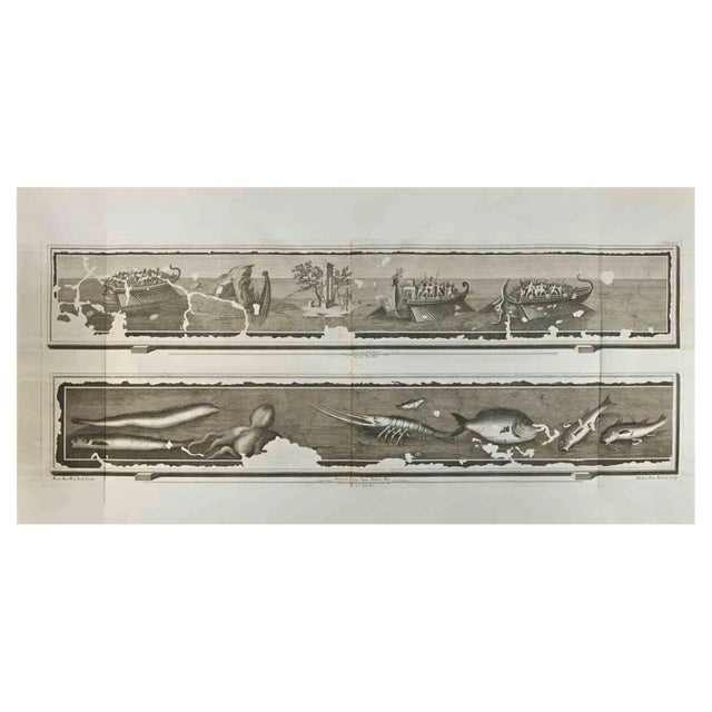 Roccus Pozzi, Antiquities of Herculaneum, Etching, 18th Century For Sale