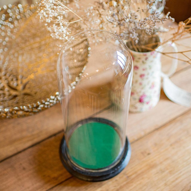 Transparent 1910's Antique Collector's Dome For Sale - Image 8 of 9