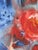 Blue Watercolor - Frank Pietrucha (1926-2014) For Sale - Image 8 of 11