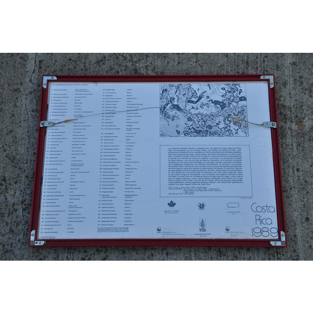 1980s Framed Print of "The Tropical Cloud Forest" of Costa Rica After Deirdre Hyde For Sale - Image 4 of 7