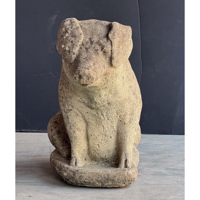 Mid 20th Century English Garden Stone Statuary Pig For Sale - Image 5 of 12