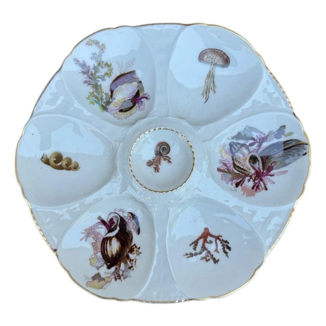 French Oyster Plate For Sale