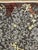 Hand-knotted Indian rug with an allover floral vine pattern set against a charcoal field. Features scrolling botanical...