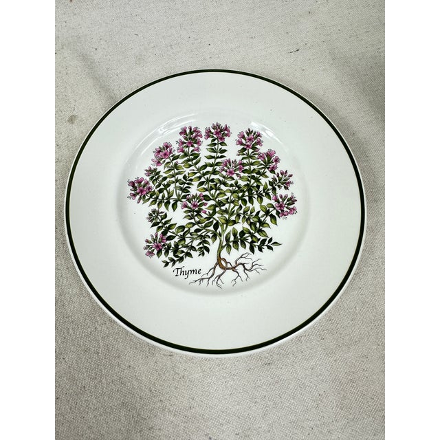 English Vintage Tiffany Herbs Plates For Sale - Image 3 of 12